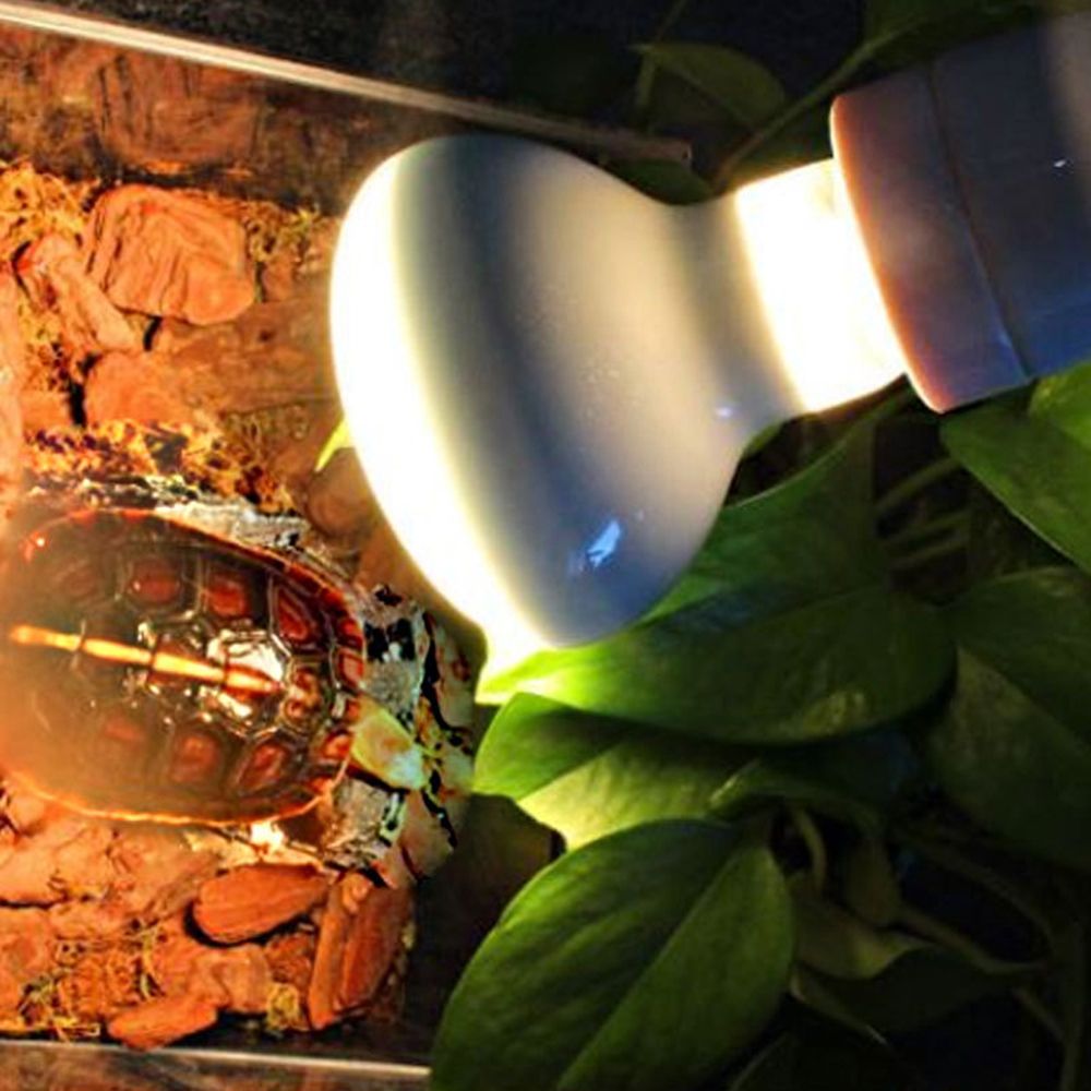 Basking Bulb Halogen - Controlador de Temperatura para Répteis: Lâmpada