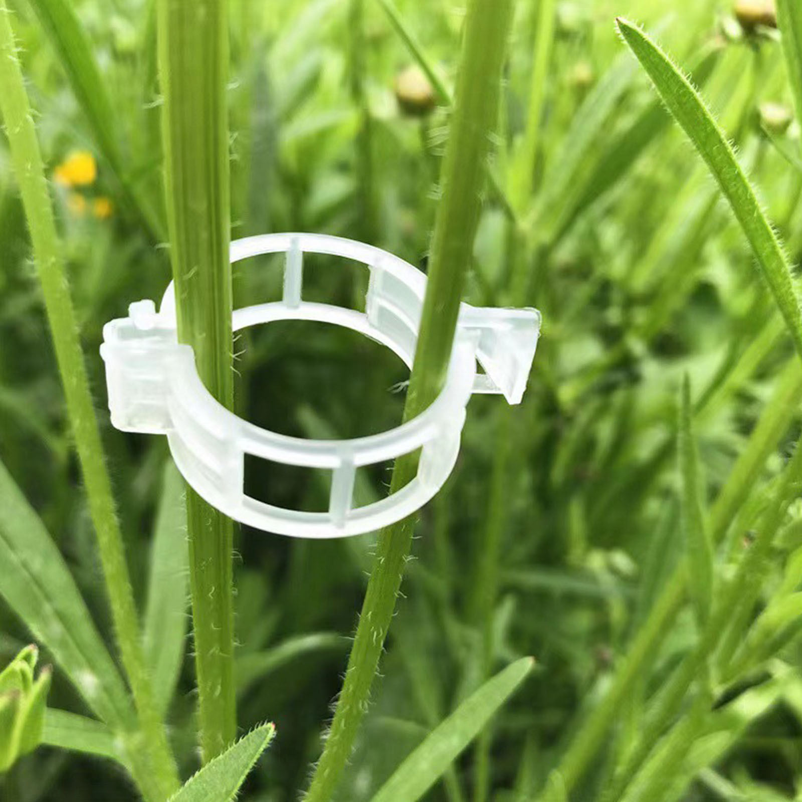 Vine Climbing Plastic - Clipe de Plástico Seguro para Fixação