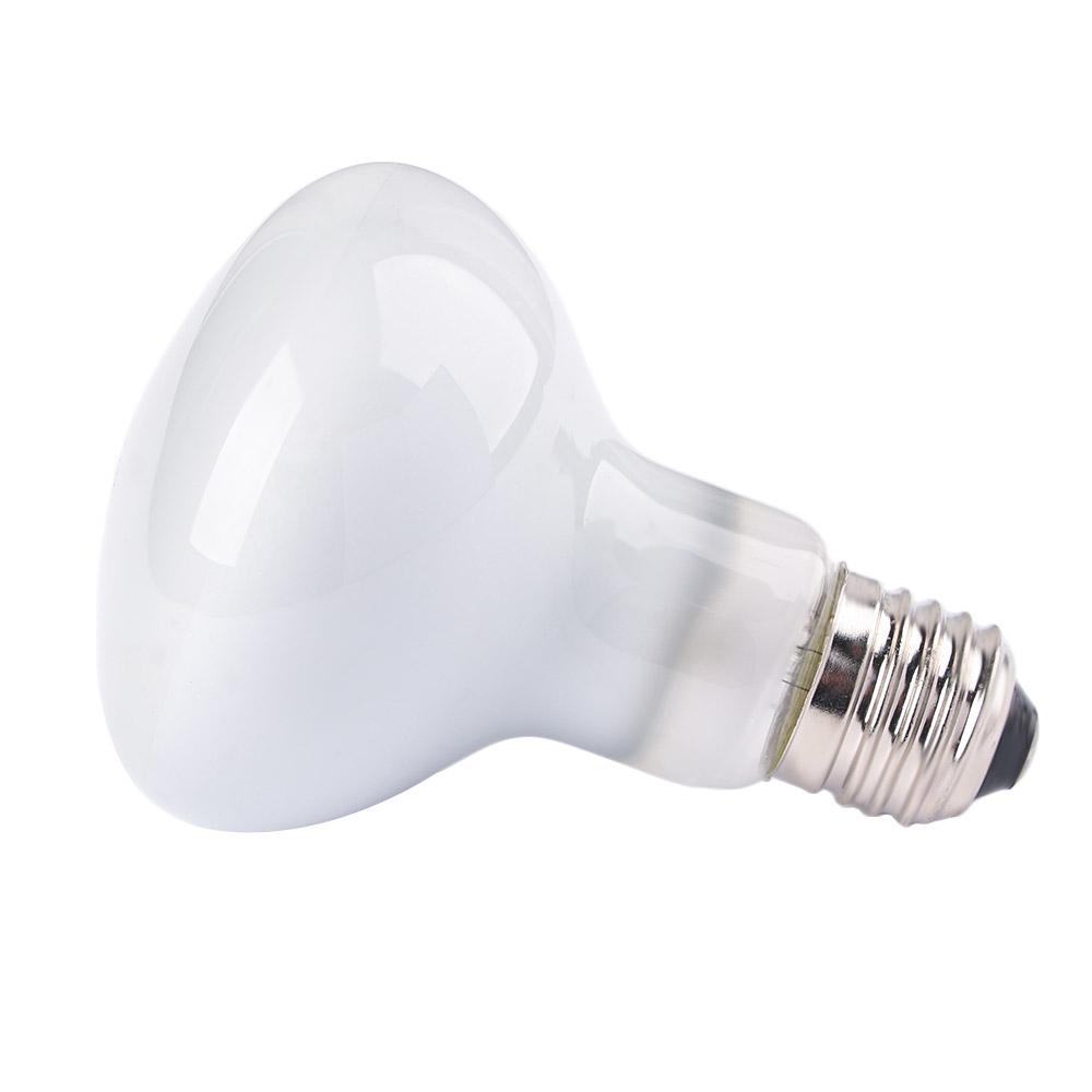 Lâmpada de Aquecimento para An - Basking Bulb Halogen avaliação e preço