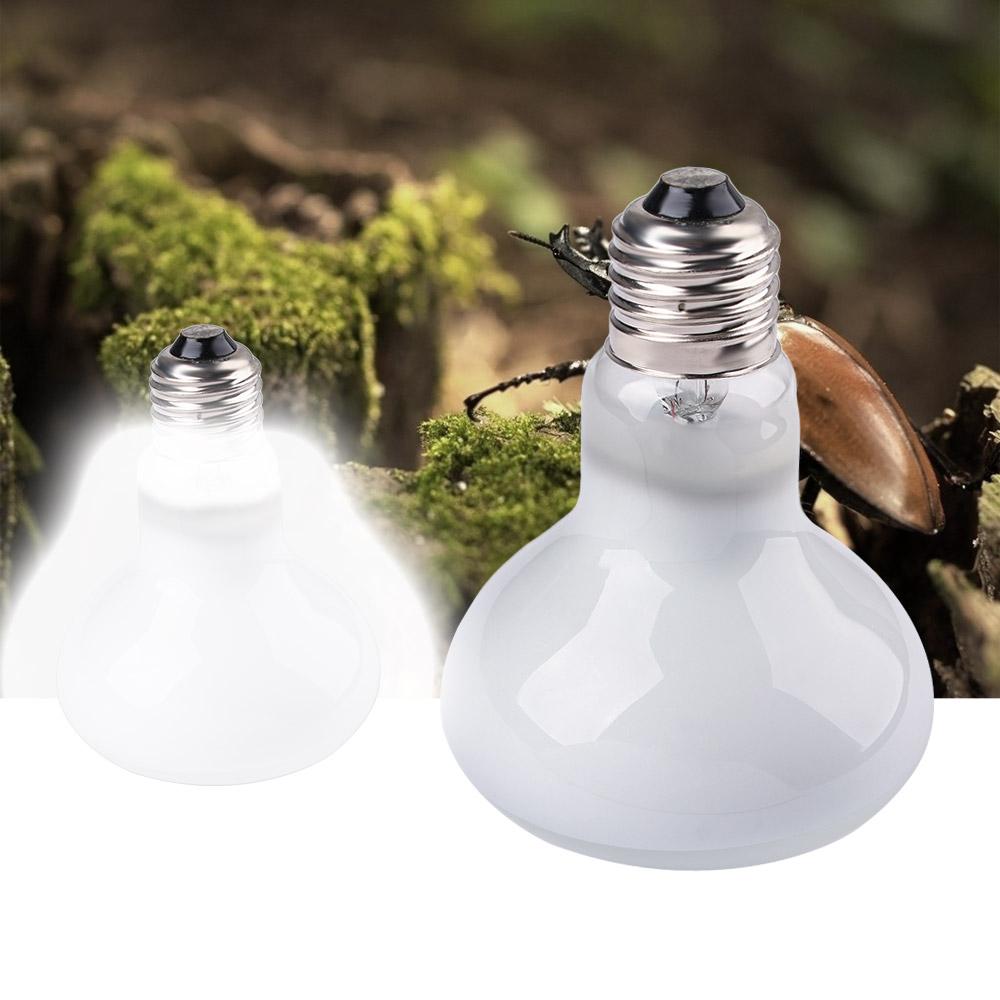 Lâmpada de Aquecimento para Ta - Basking Bulb Halogen avaliação e preço