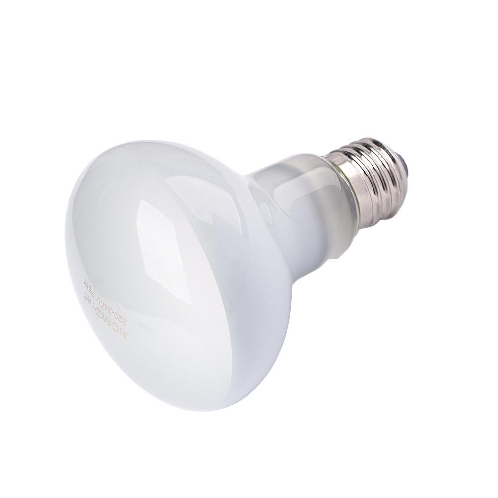 Controlador de Temperatura par - Basking Bulb Halogen avaliação e preço