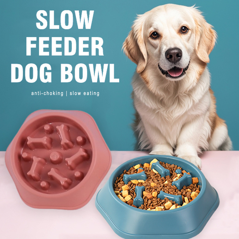 Alimentador lento para cães, t - Royal Canin Food Medium avaliação e preço